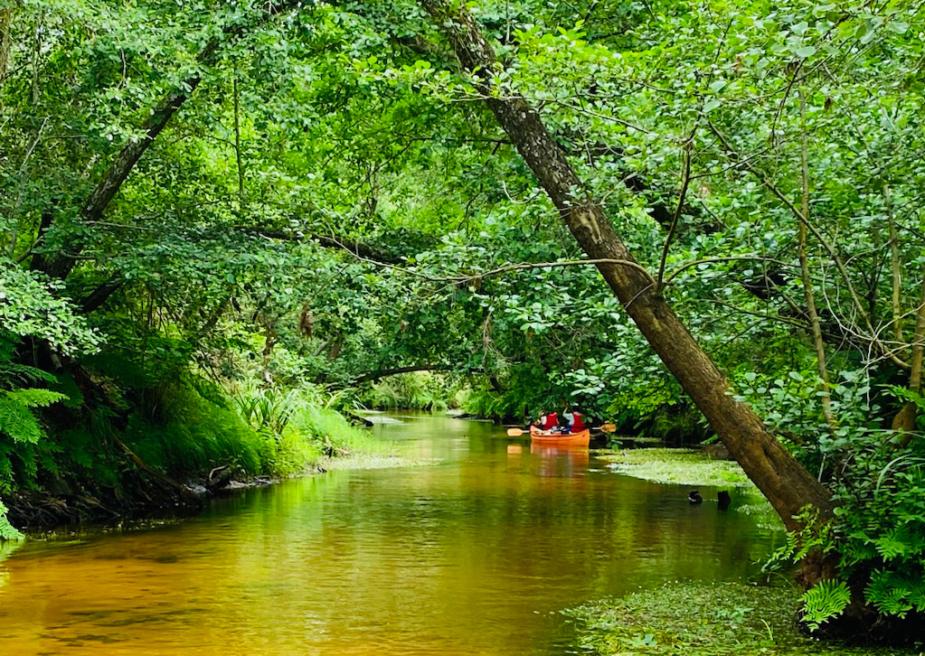 Canoe Mexico Aventure