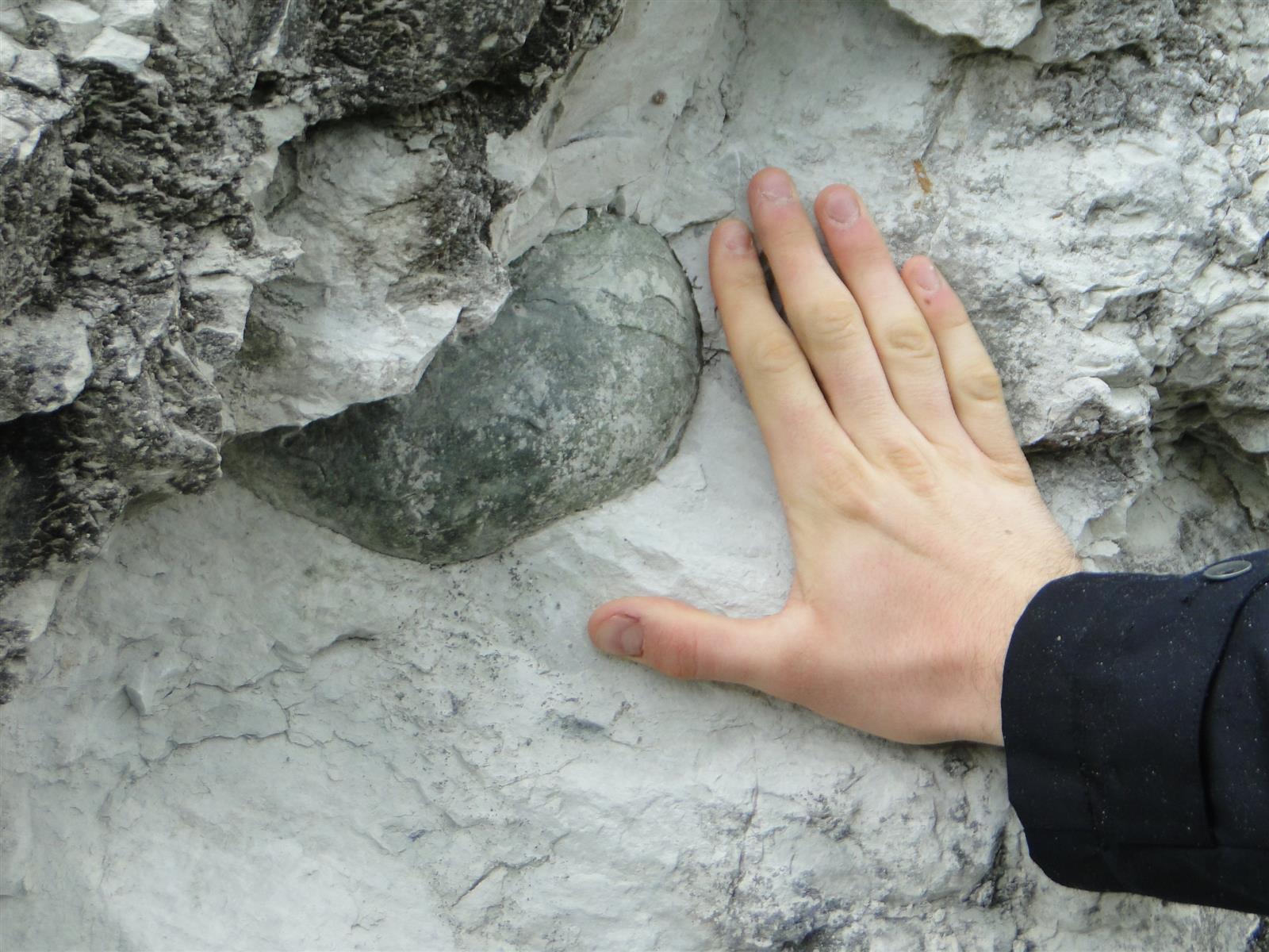 Visite de la Réserve Naturelle Géologique de T ...