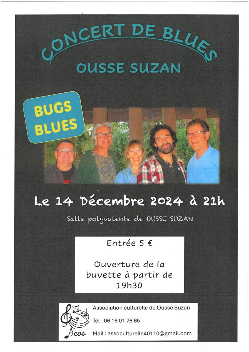 Concert "Bugs Blues"