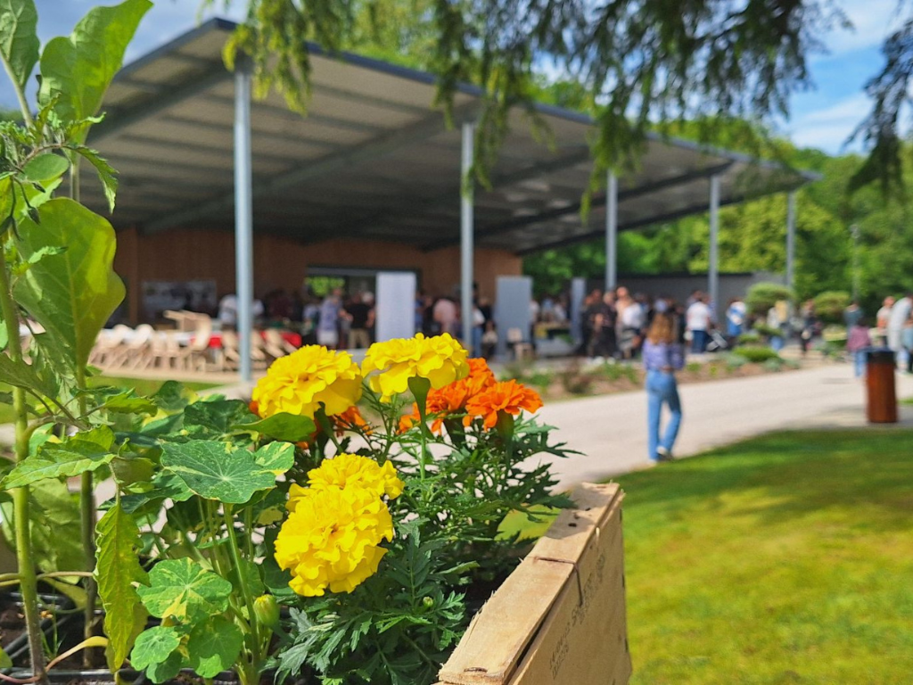 Marché de Biaudos