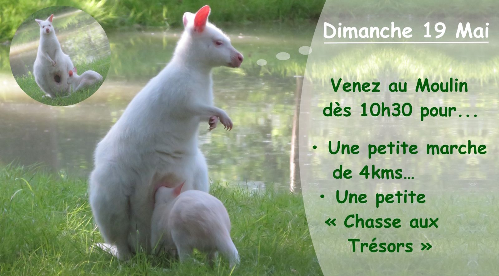 Pédestre et Chasse au ...