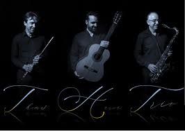 Concert " Thomas Hervé Trio"