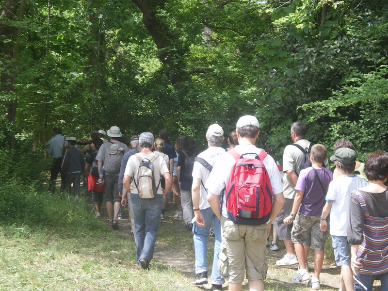 Annulée Balade Pédestre guidée