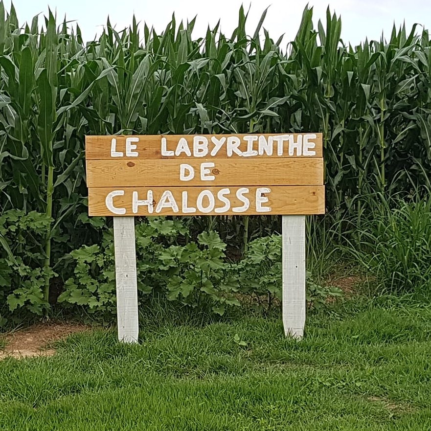 Nocturne au labyrinth ... - Crédit: Clément Labadie | CC BY-NC-ND 4.0