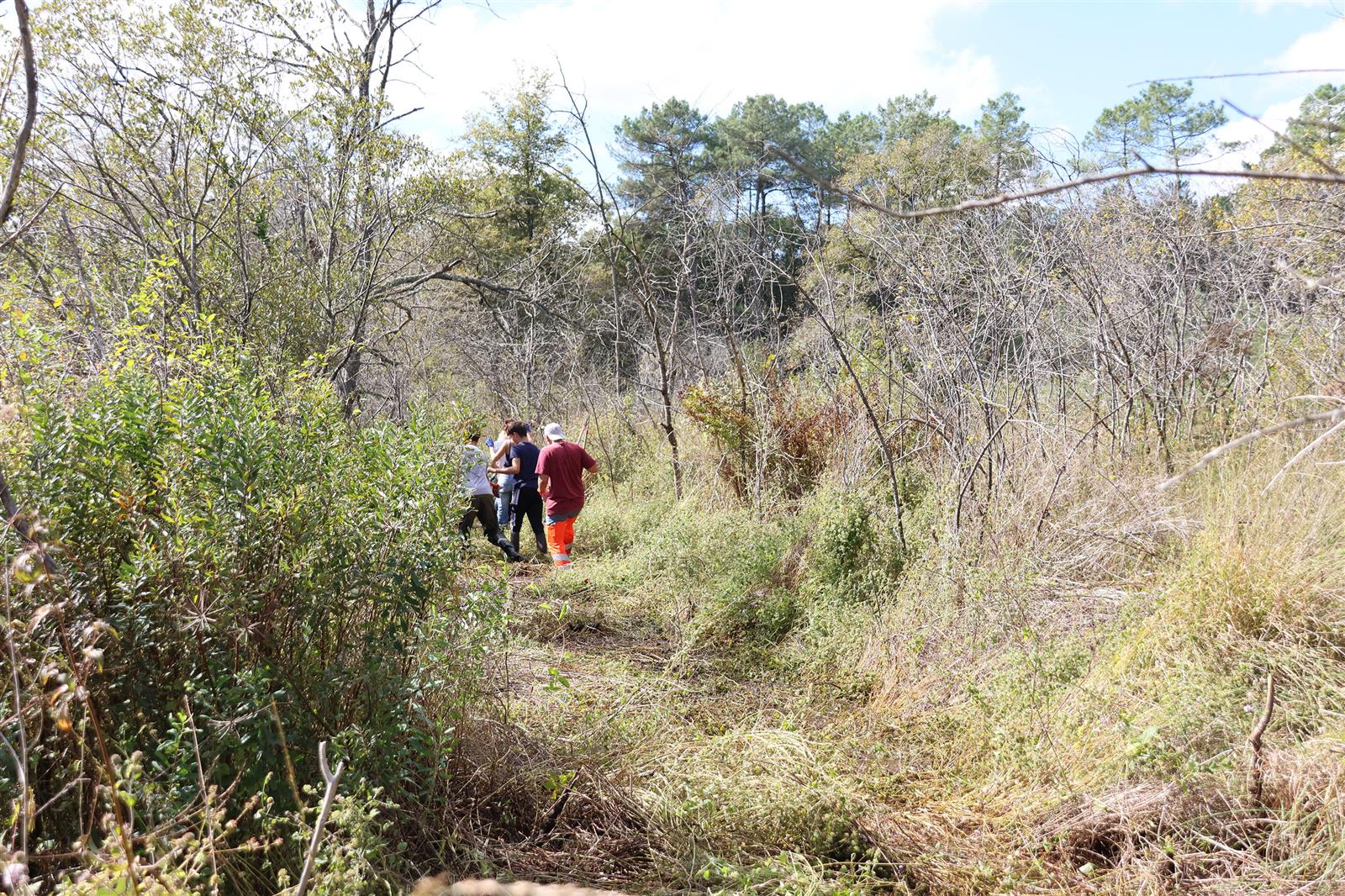 Chantier Nature : SOS Plomberie dans la tourbière