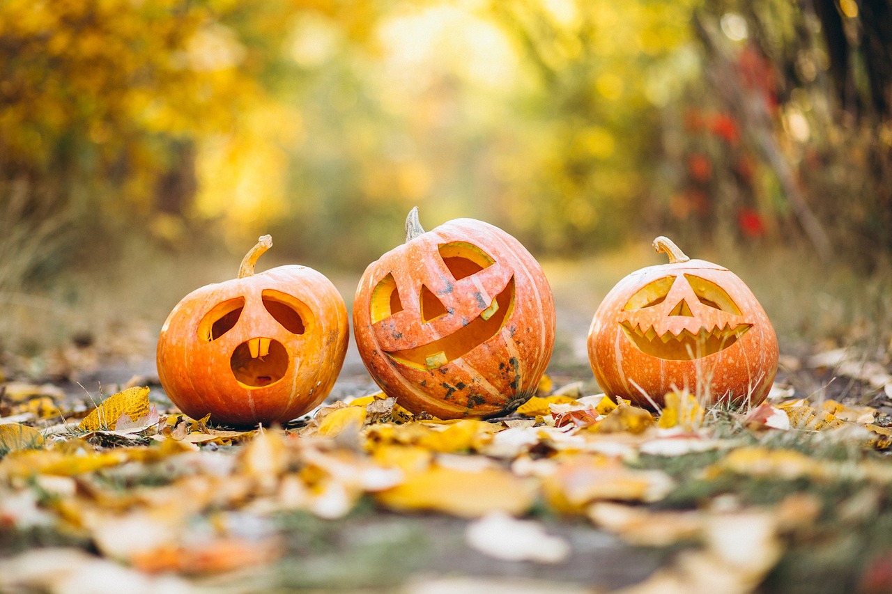 Après-midi Halloween - Crédit: Pixabay | CC BY-NC-ND 4.0