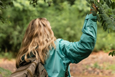 Itinéraires : Les arbres / Balade naturaliste  ...