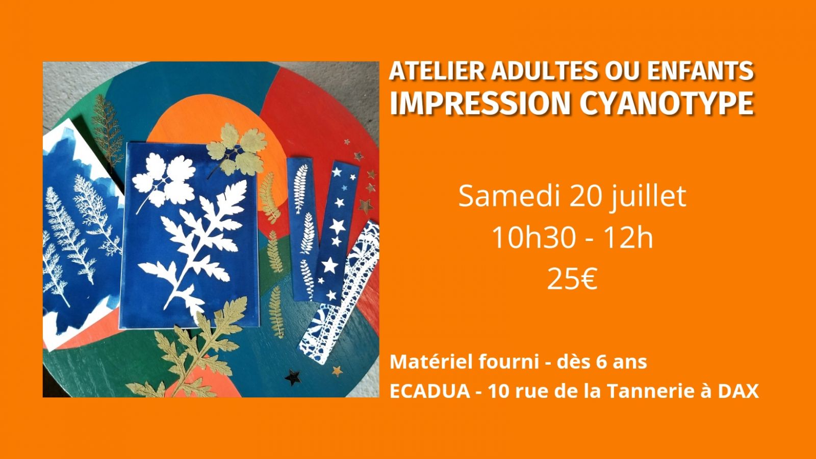 Atelier Cyanotype (impression par le soleil) / ...