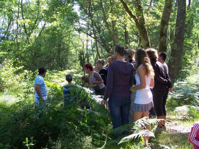 Promenade nature en forêt sur l'histoire et la ...