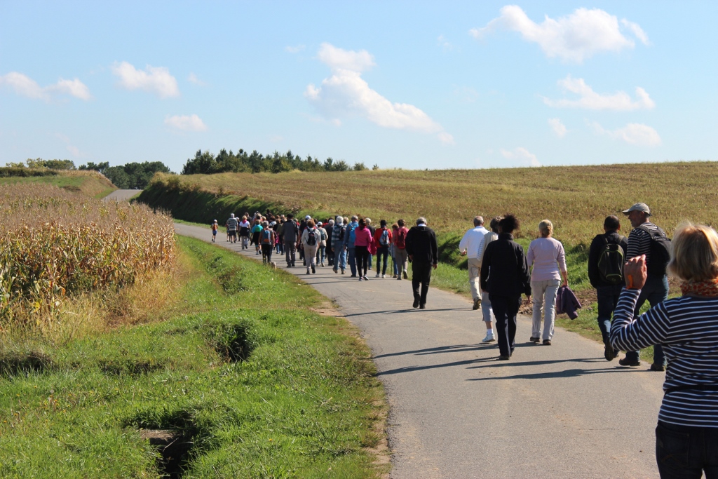 Marche des vignerons