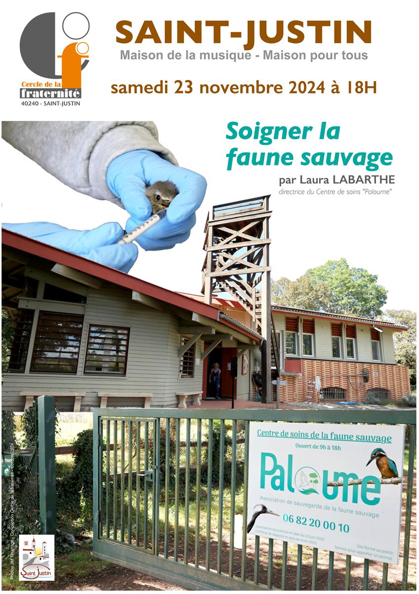 Conférence : Soigner la faune sauvage