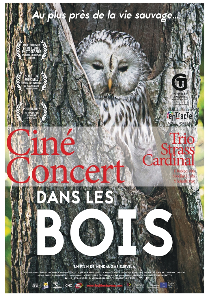 Ciné-concert - Cie Le Limaçon - "Dans les bois"