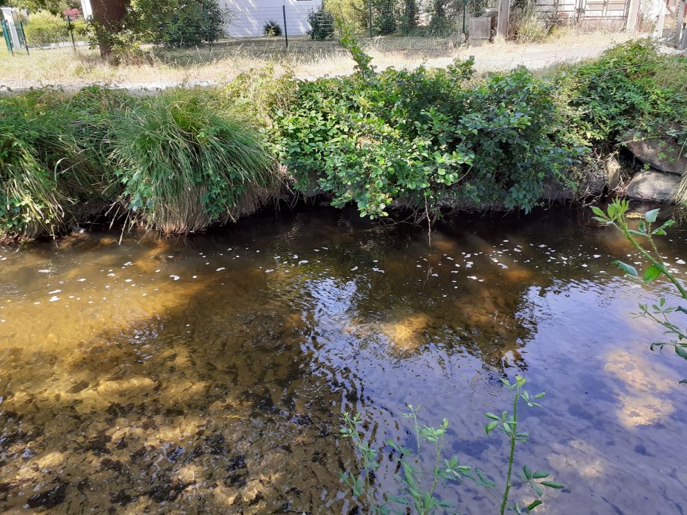 L’eau douce, un bien commun en danger