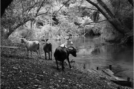 Automne en scène : Vi ... - Crédit: oit mimizan | CC BY-NC-ND 4.0