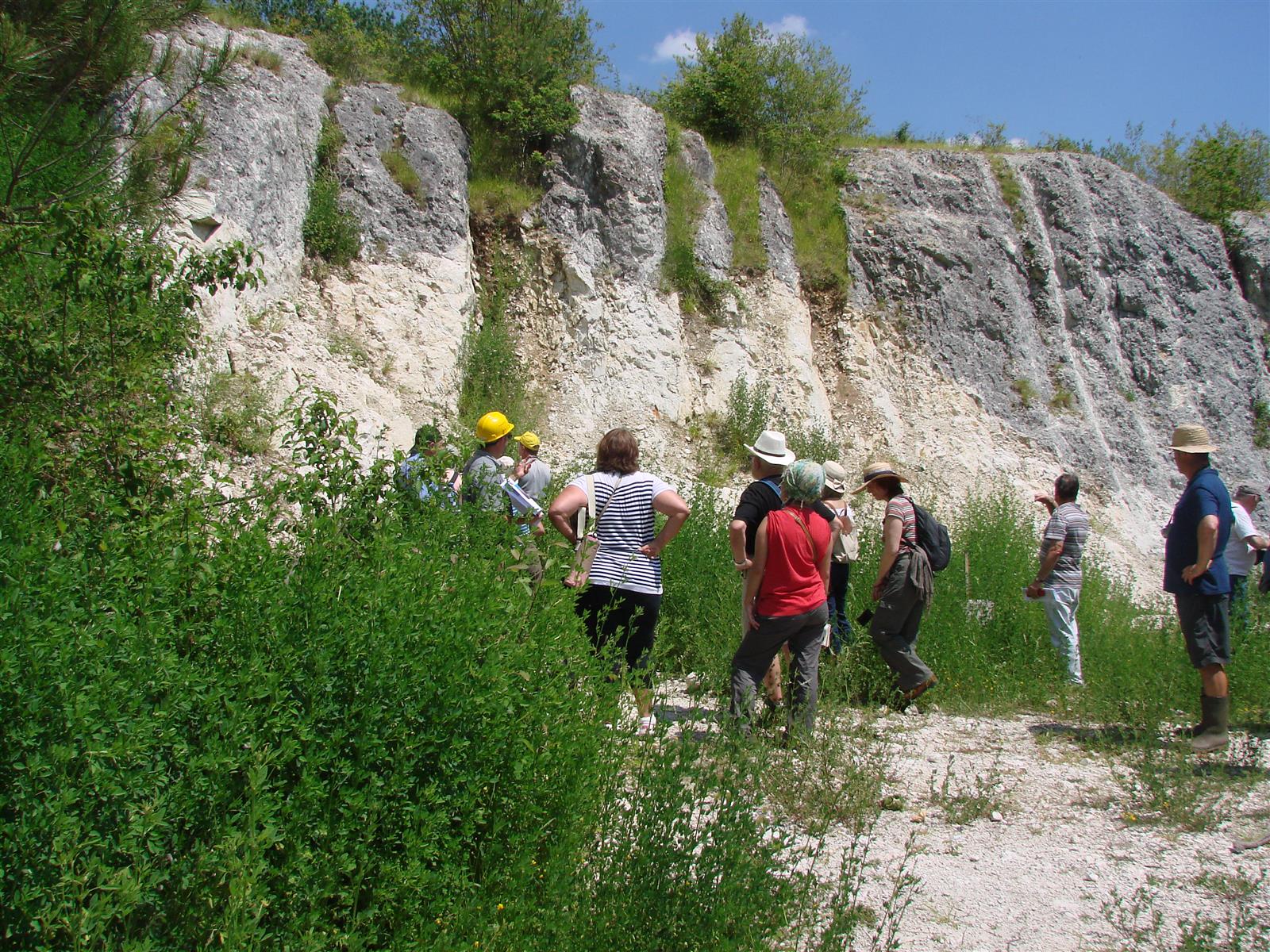 Chantier participatif à la Réserve Naturelle R ...