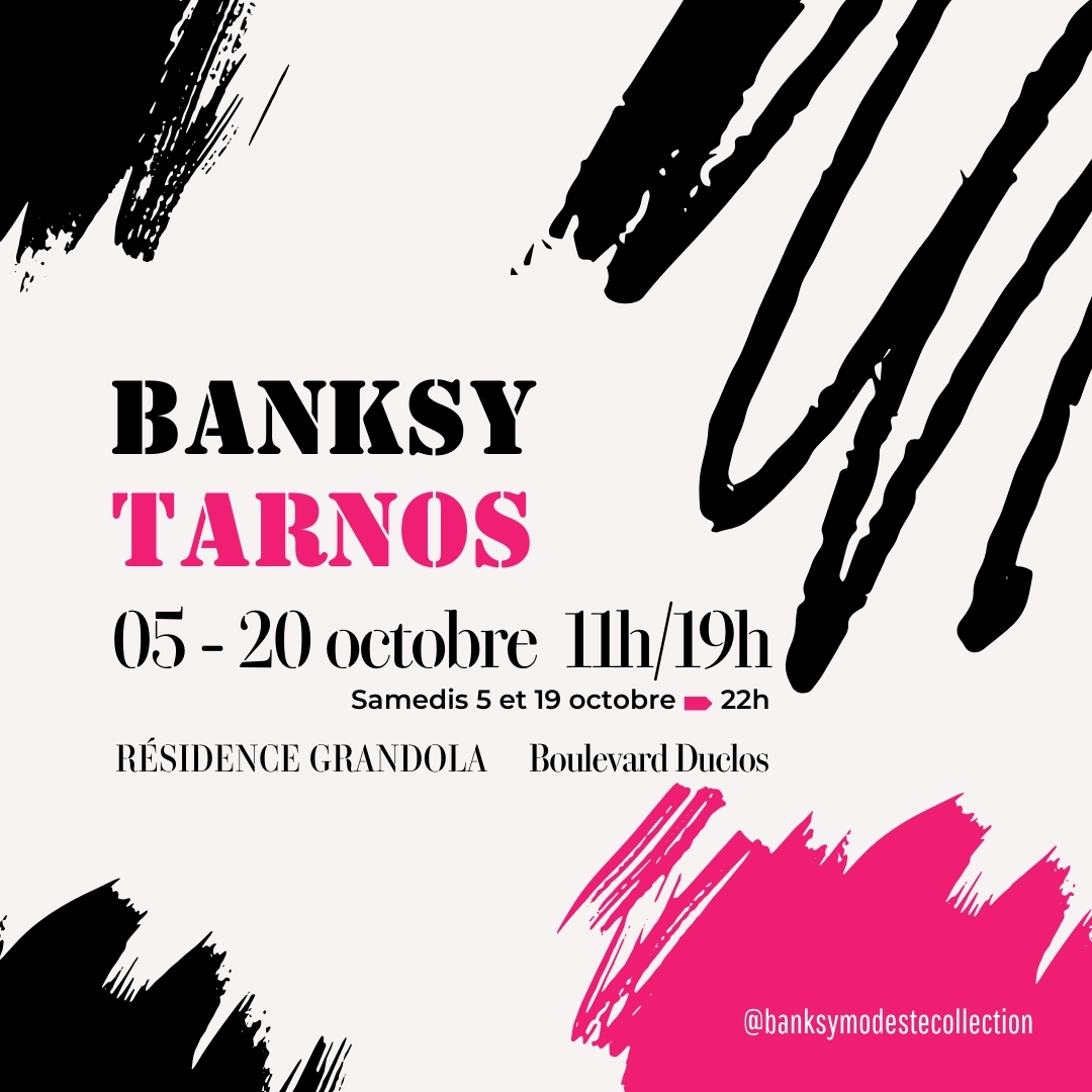 Banksy s'expose à Tarnos [VISITE EN LANGUE DES ...