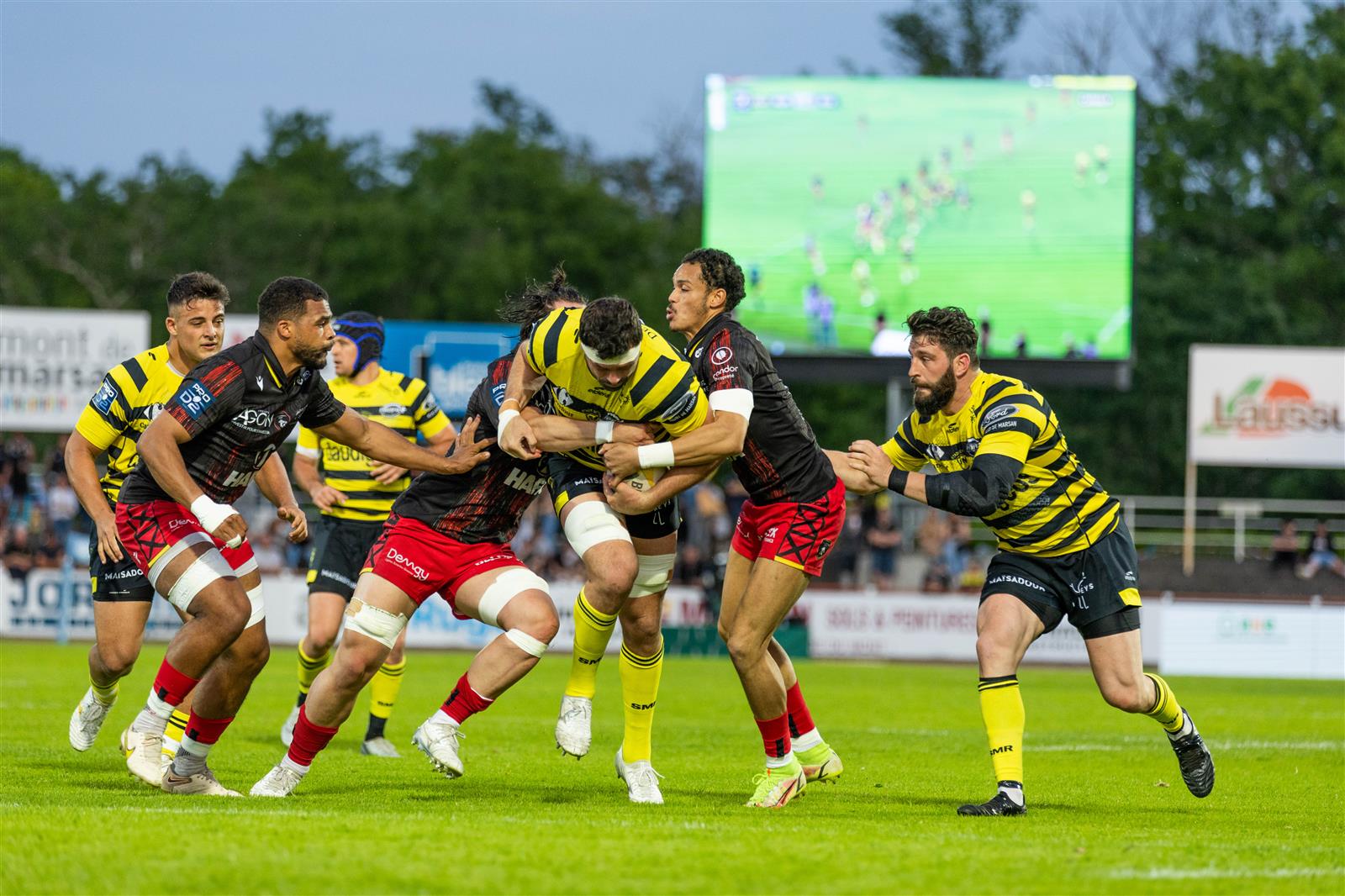 Stade Montois Rugby vs Nice