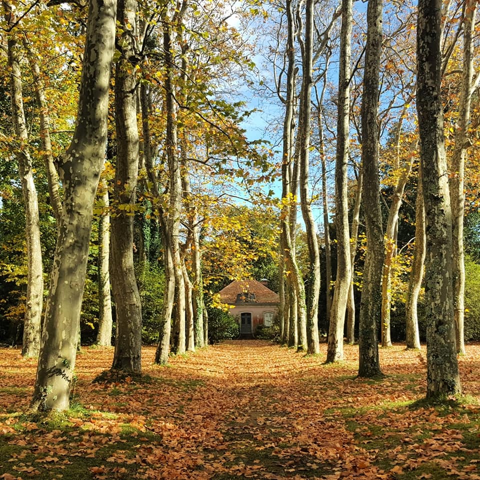 Visite Maison de Pierre Benoit