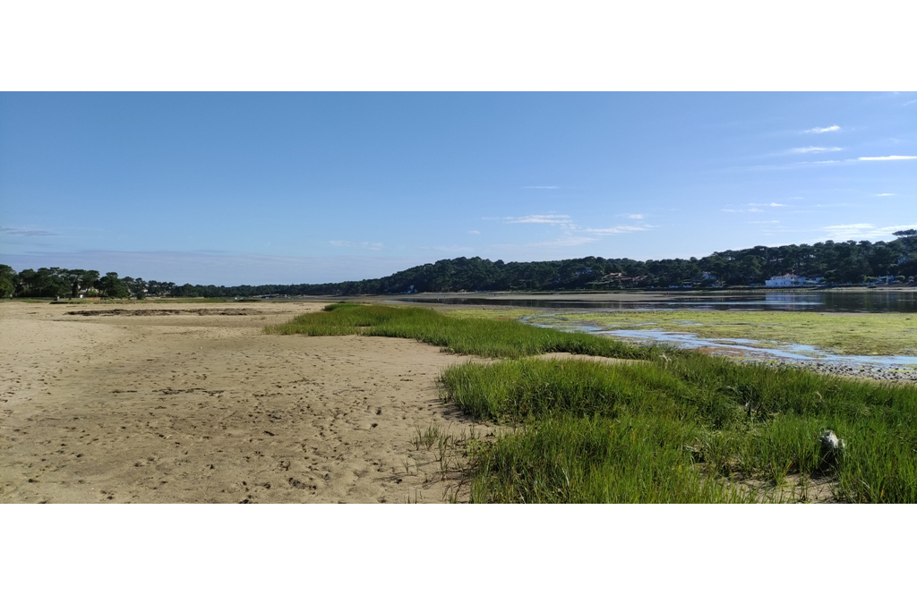 Découverte naturaliste et historique du lac d' ...