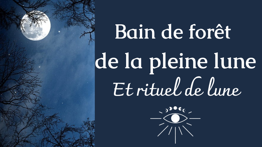 Bain de forêt de la pleine lune