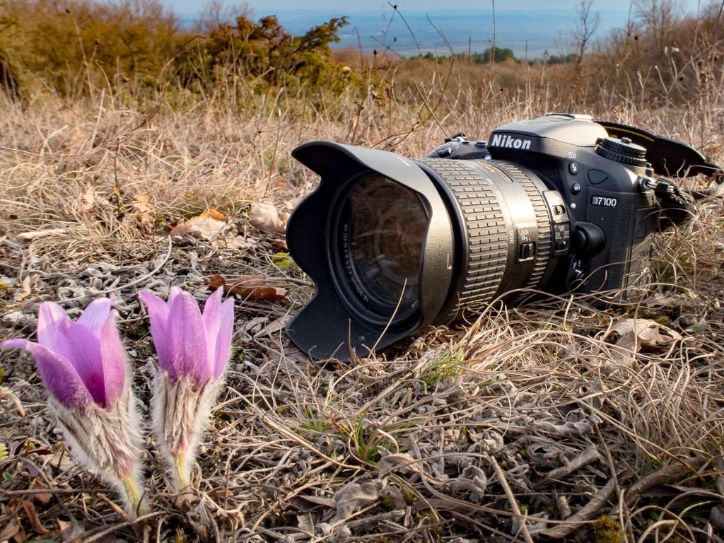 Exposition photo « Objectif Saint-Martin »