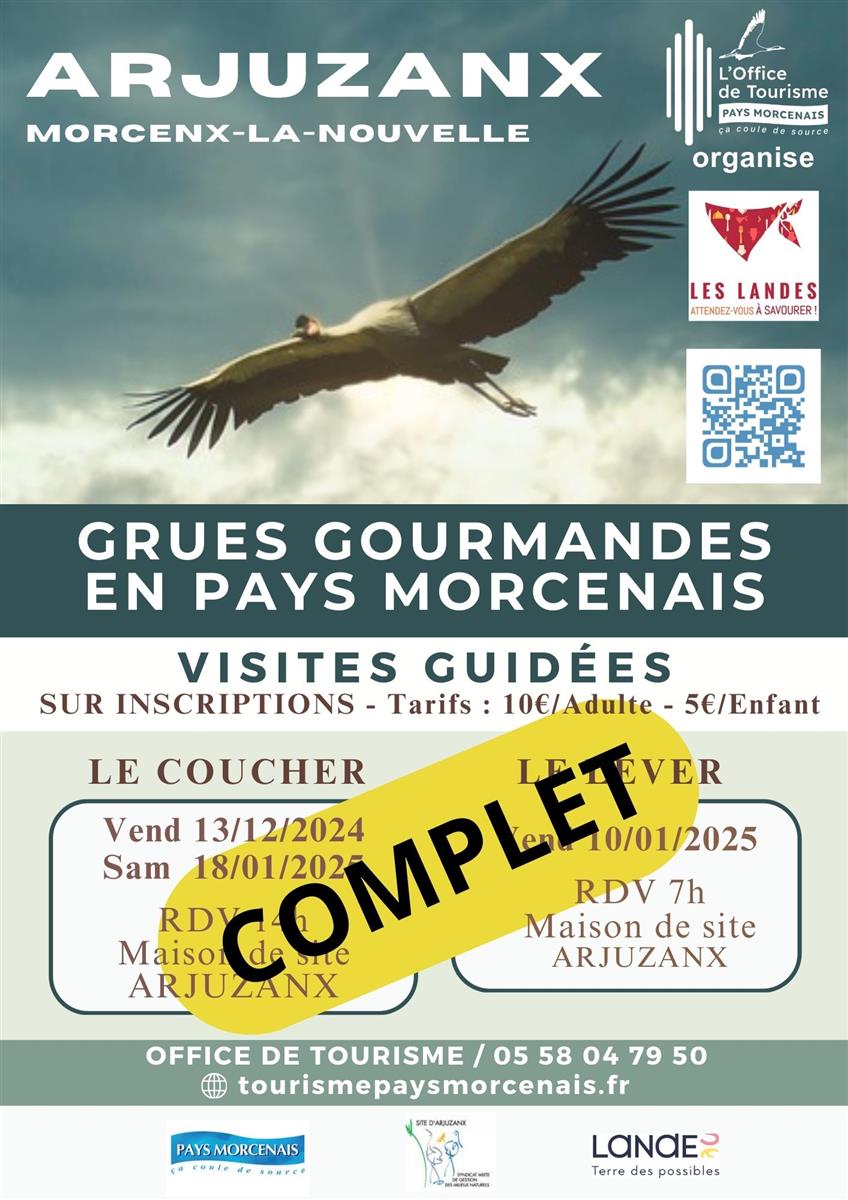 Les grues gourmandes en Pays Morcenais - Le le ...