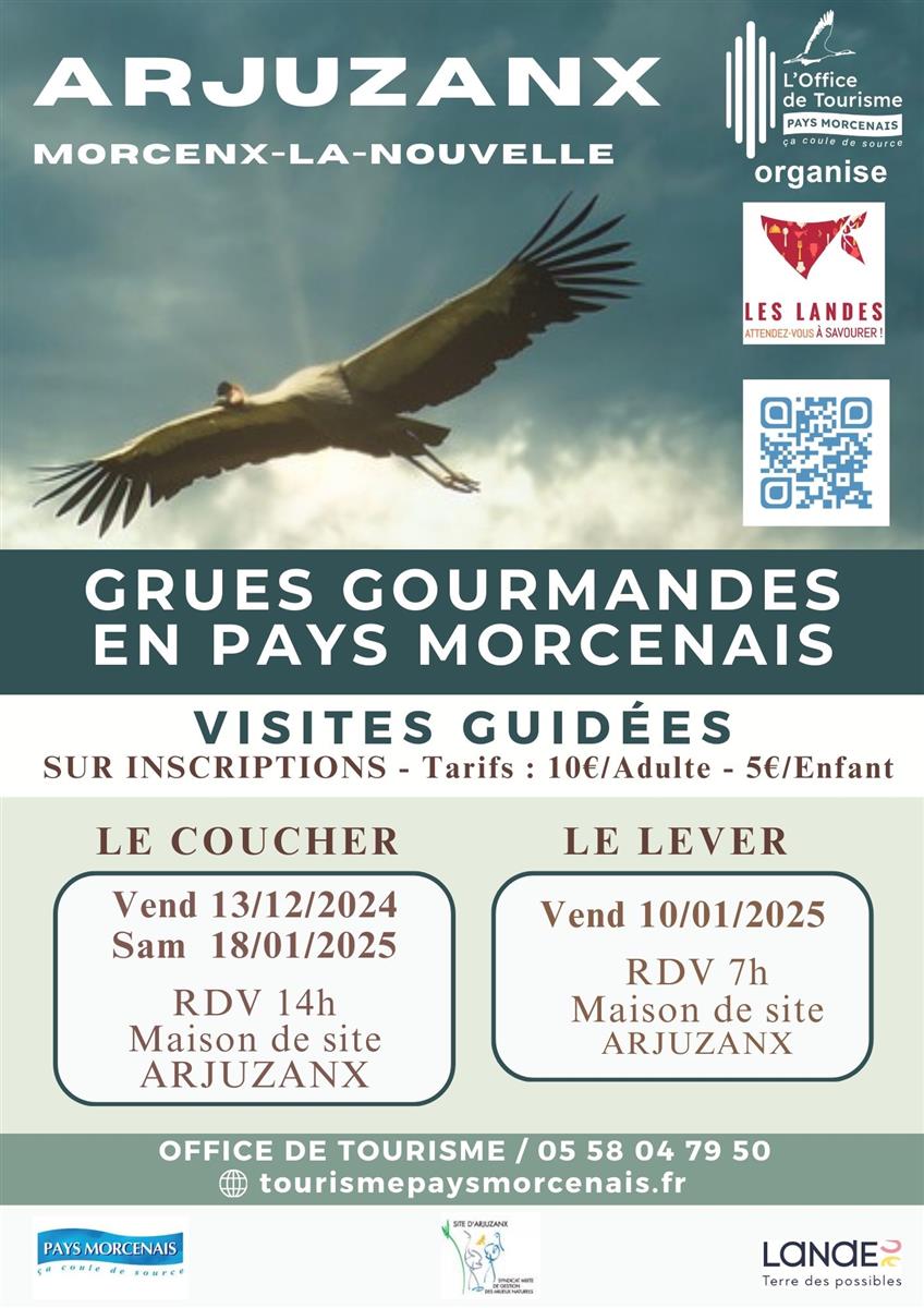 Les grues gourmandes en Pays Morcenais - Le co ...