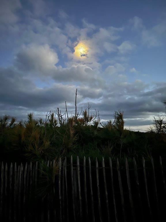 La balade nocturne : Mimizan Plage by night !