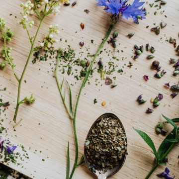 Conférence "Les plantes médicinales"