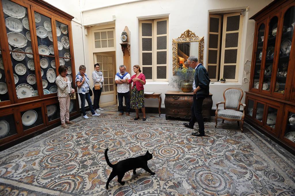 Visite du musée et de la Maison du Dr Sentex