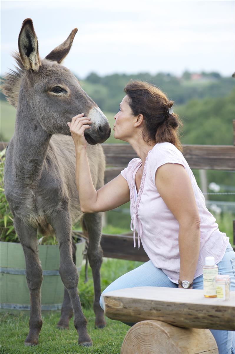 Visite sur rdv de l'asinerie Turs'Ane