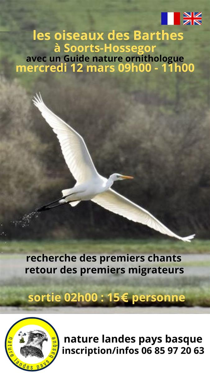 Les oiseaux des Barthes