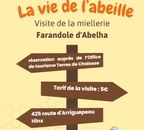 La vie de l'abeille - visite d'une miellerie