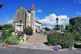 Furet  BioVet St-Martin à Saint-Martin-de-Seignanx