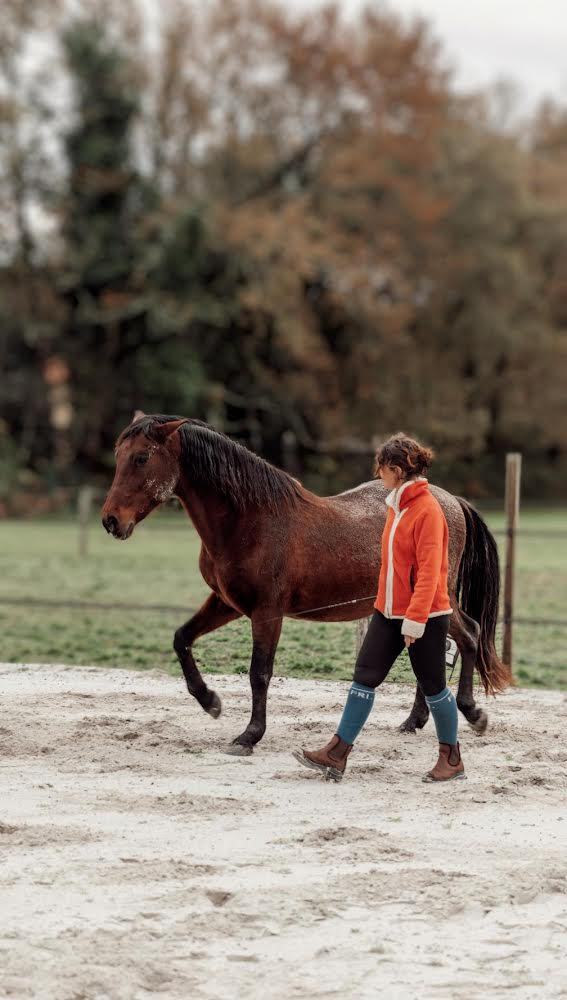 Horse Connect 40