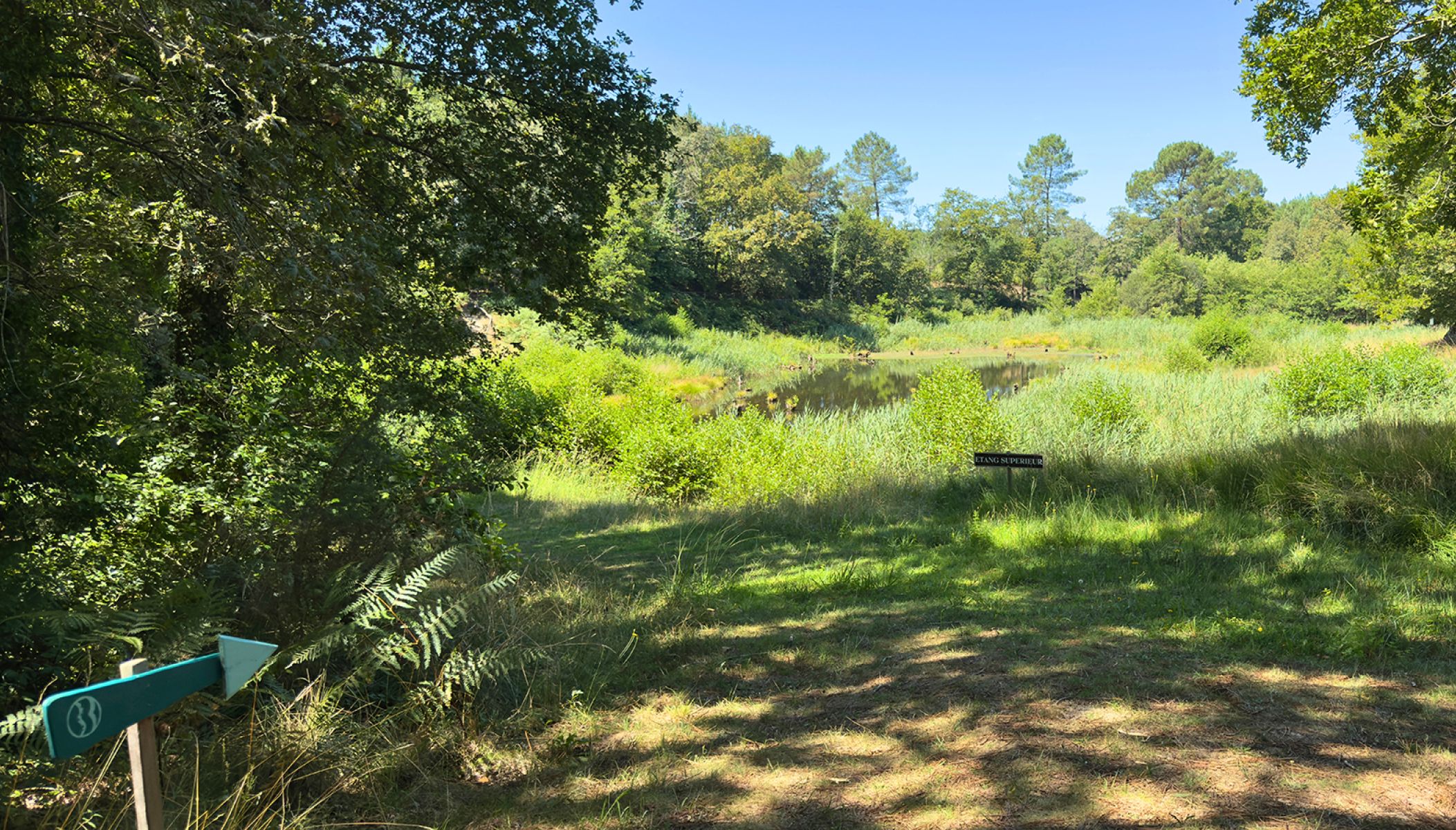 Les parcs et jardins à ne pas manquer à l’intérieur des Landes
