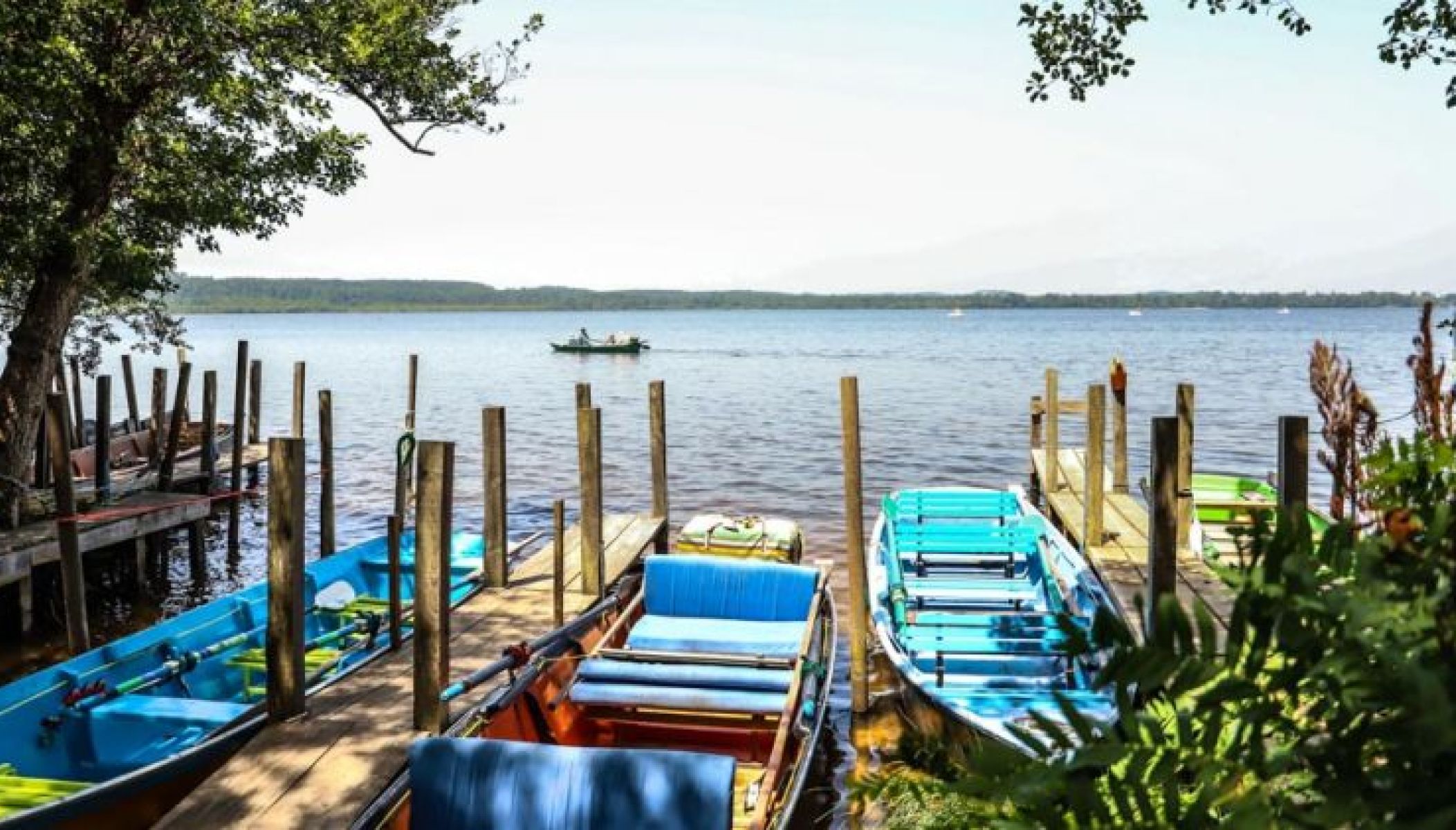 Balade insolite en barque sur le courant d’Huchet