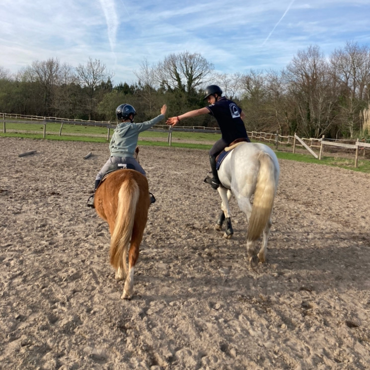 Les Écuries du Moulin de Sis - Centres Equestres à Angresse