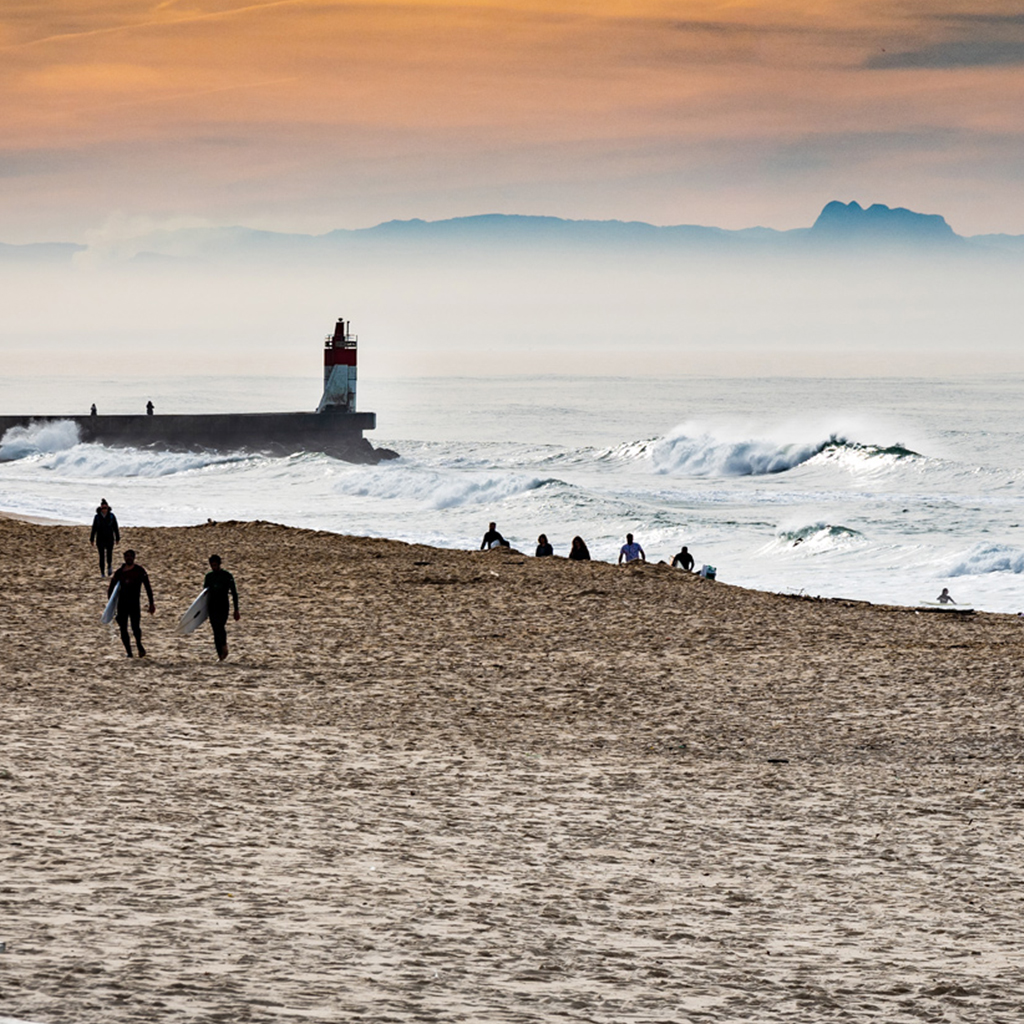 Les Landes en hiver - Que faire ?